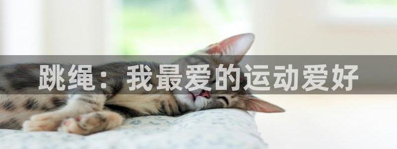 凯发官网下载软件：跳绳：我最爱的运动爱好