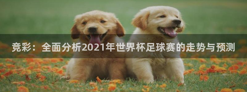 凯发官网下载平台注册要钱吗安全吗：竞彩：全面分析20