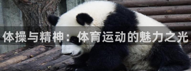 凯发官网下载联系电话：体操与精神：体育运动的魅力之光