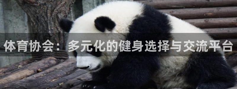凯发官方正版app娱乐首页官网下载：体育协会：多元化