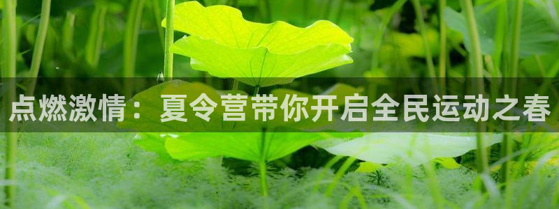 凯发官方正版app娱乐：点燃激情：夏令营带你开启全民