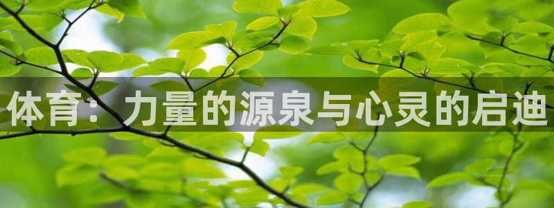 凯发官网下载平台注册：体育：力量的源泉与心灵的启迪