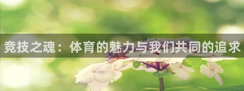 凯发官网下载开户：竞技之魂：体育的魅力与我们共同的追