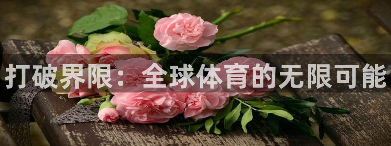 凯发官网下载平台注册流程图：打破界限：全球体育的无限
