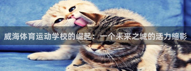 凯发官网下载招商电话号码是多少：威海体育运动学校的崛