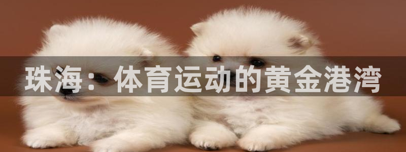 凯发官网下载娱乐