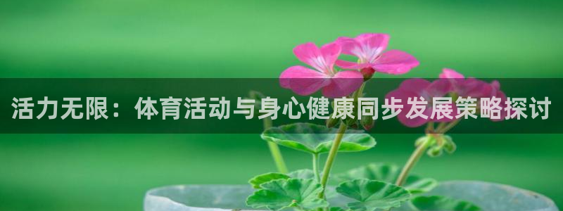 凯发官方正版app集团官网首页网址：活力无限：体育活