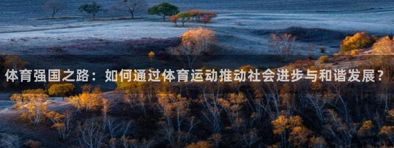 凯发官方正版app集团E.ON：体育强国之路：如何通