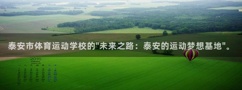 凯发官方正版app娱乐是那个系列的台子：泰安市体育运