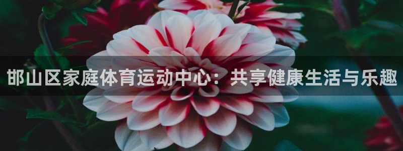 凯发官网下载平台APP：邯山区家庭体育运动中心：共享健康生活