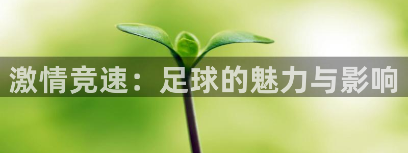 凯发官方平台体育：激情竞速：足球的魅力与影响