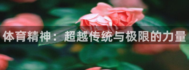 凯发官网下载：体育精神：超越传统与极限的力量