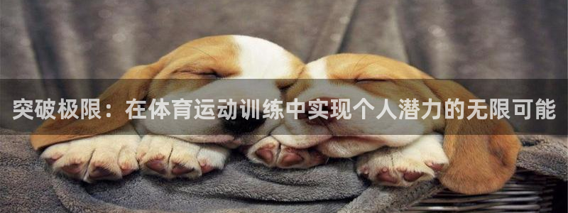 凯发官网下载开户：突破极限：在体育运动训练中实现个人