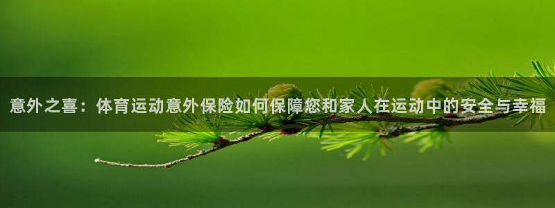 凯发官方正版app神州：意外之喜：体育运动意外保险如