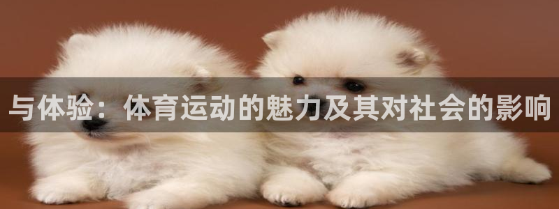 凯发官方正版app集团简介：与体验：体育运动的魅力及其对社会