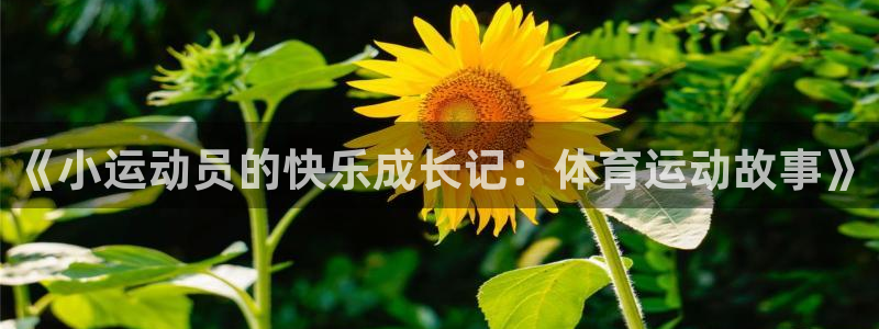 凯发官网下载招商电话号码是多少啊：《小运动员的快乐成