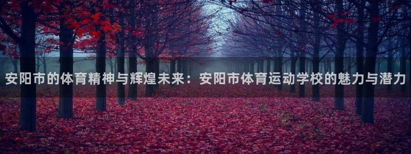 凯发官网下载平台是正规平台吗知乎：安阳市的体育精神与