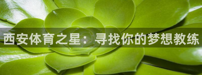 凯发官方正版app集团官网首页网址：西安体育之星：寻找你的梦