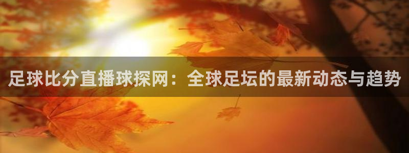 斗球nba直播在线观看免费：足球比分直播球探网：全球足坛的最新动态与趋势