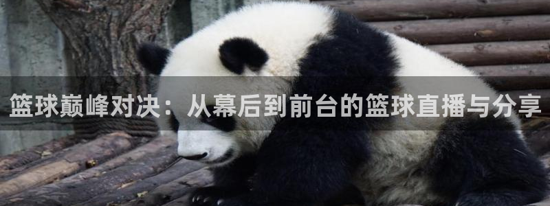 斗球体育直播app下载安装：篮球巅峰对决：从幕后到前台的篮球直播与分享