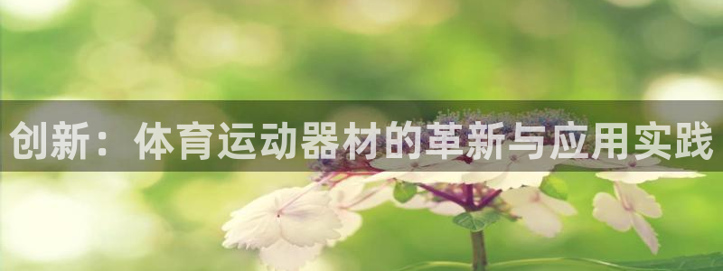 凯发官方正版app新能源