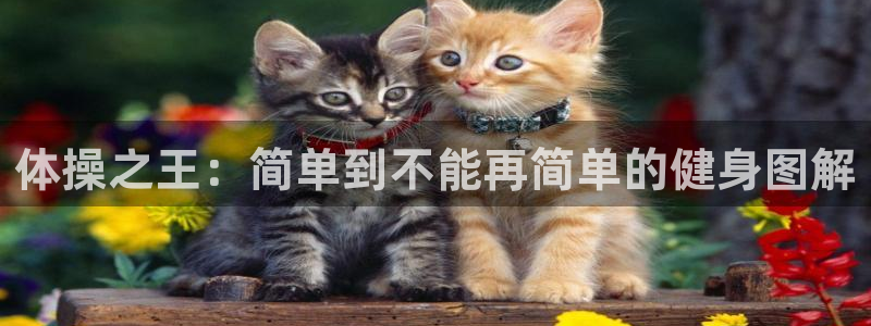 凯发官网下载招商电话地址是多少：体操之王：简单到不能再简单的