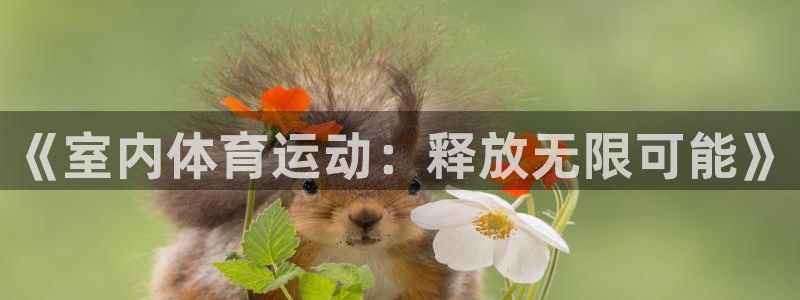 德国凯发官方正版app集团：《室内体育运动：释放无限可能》