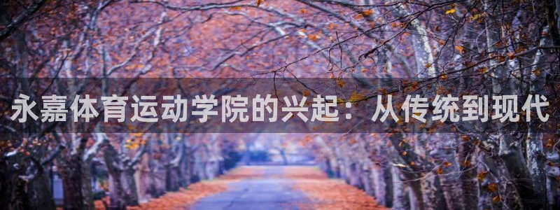 凯发官方正版app集团简介：永嘉体育运动学院的兴起：从传统到