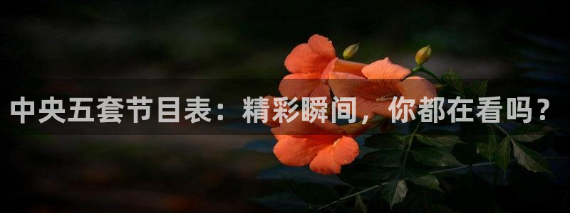 斗球体育直播app：中央五套节目表：精彩瞬间，你都在看吗？
