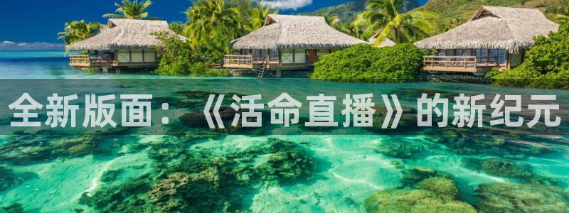 斗球体育直播在线观看电脑版免费：全新版面：《活命直播》的新纪元