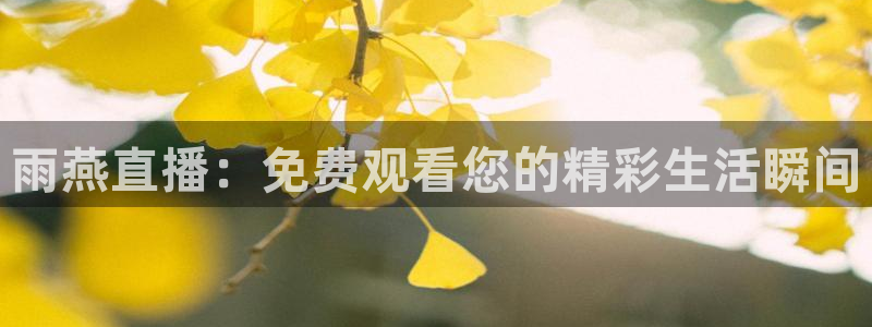 斗球直播体育下载：雨燕直播：免费观看您的精彩生活瞬间
